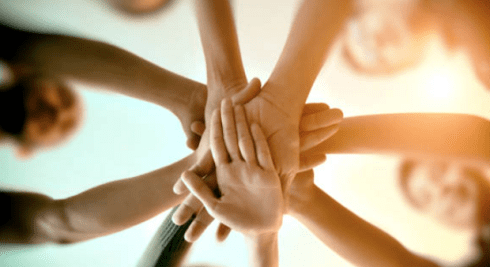 2B350A7E1FCD9EF3A59E38574C73511A474D_cooperativa